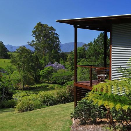Lilypad Luxury Cabins Bellingen Kültér fotó