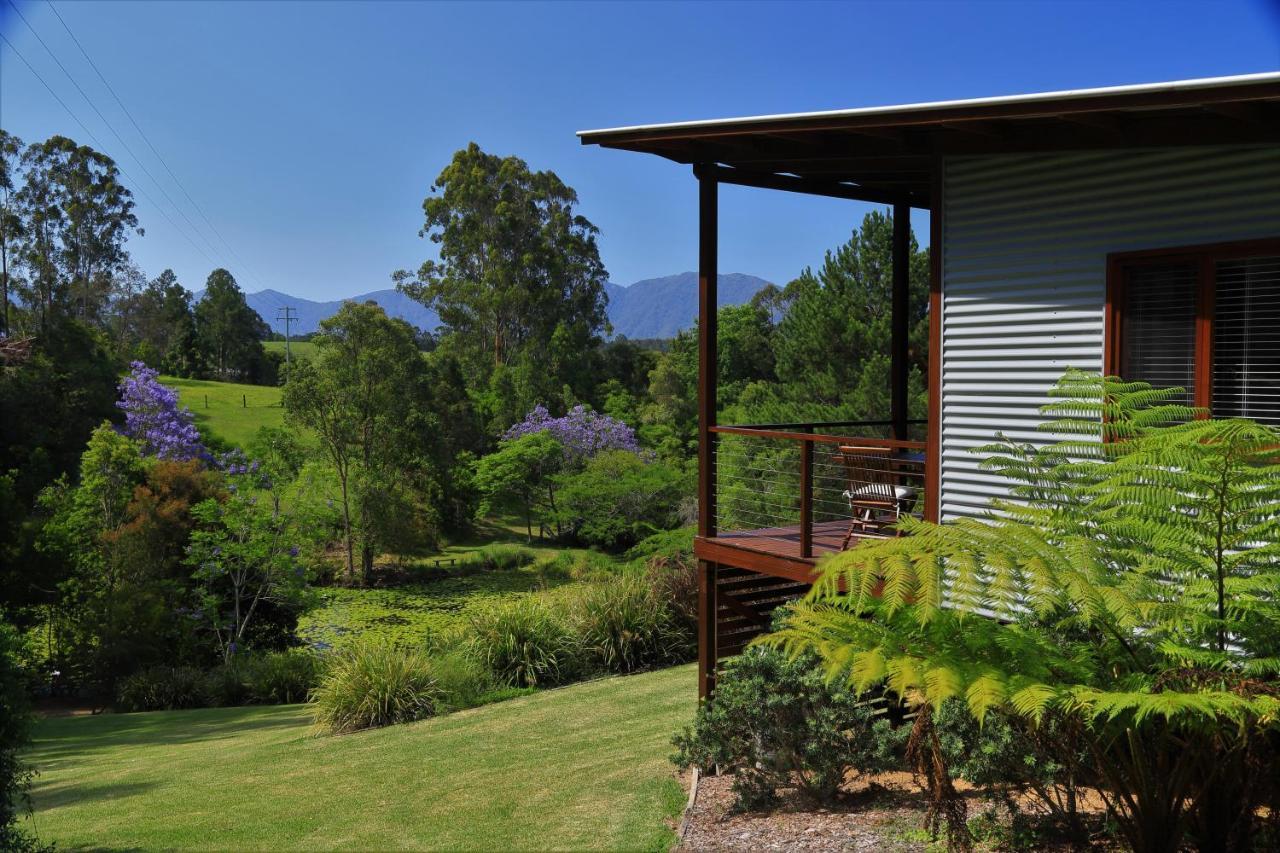Lilypad Luxury Cabins Bellingen Kültér fotó