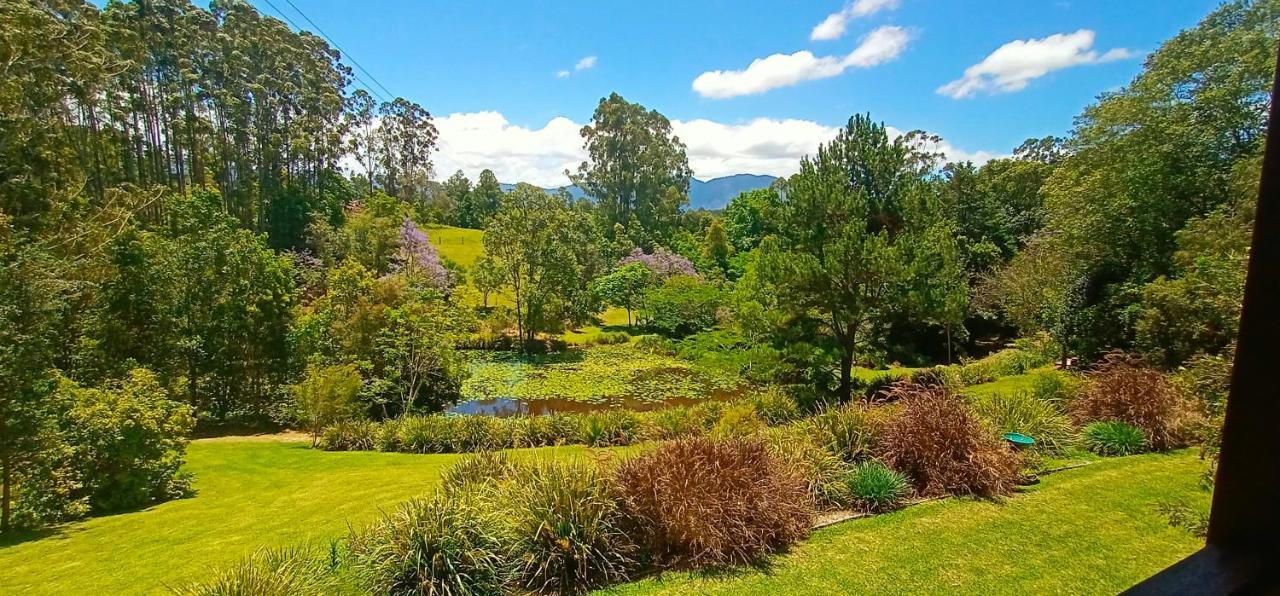 Lilypad Luxury Cabins Bellingen Kültér fotó
