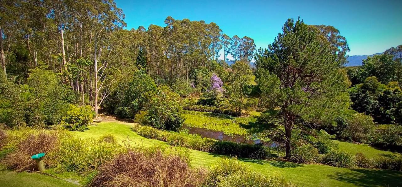 Lilypad Luxury Cabins Bellingen Kültér fotó